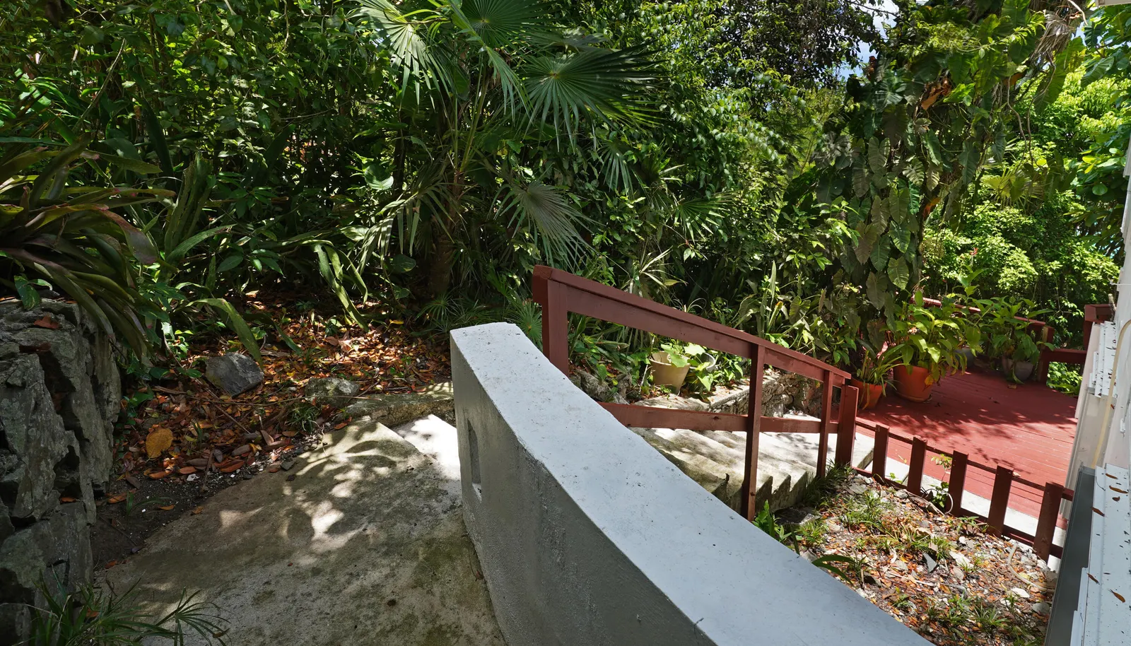 Image 33