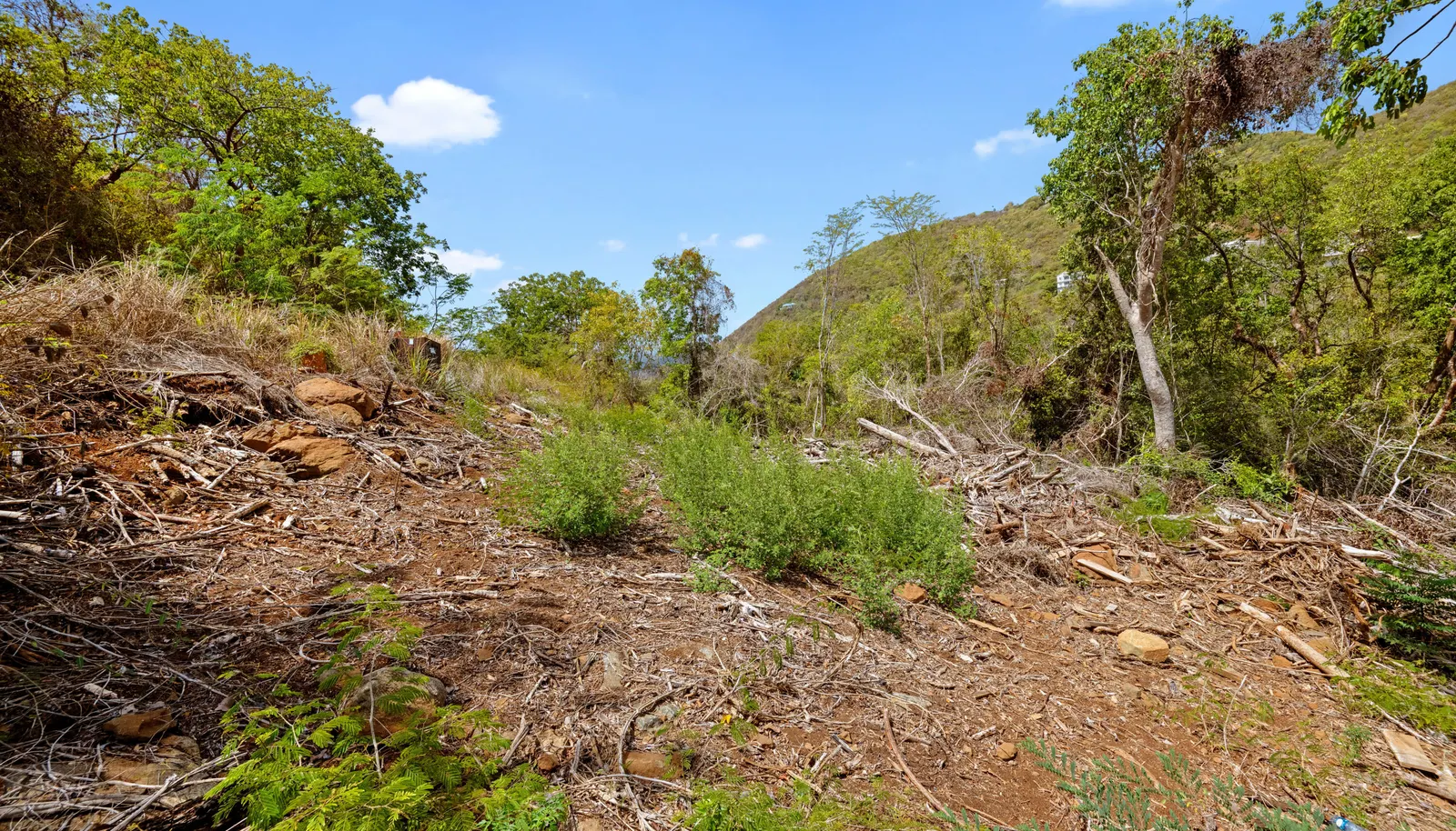 Image 69