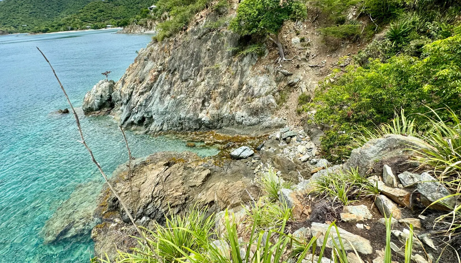 Image 12