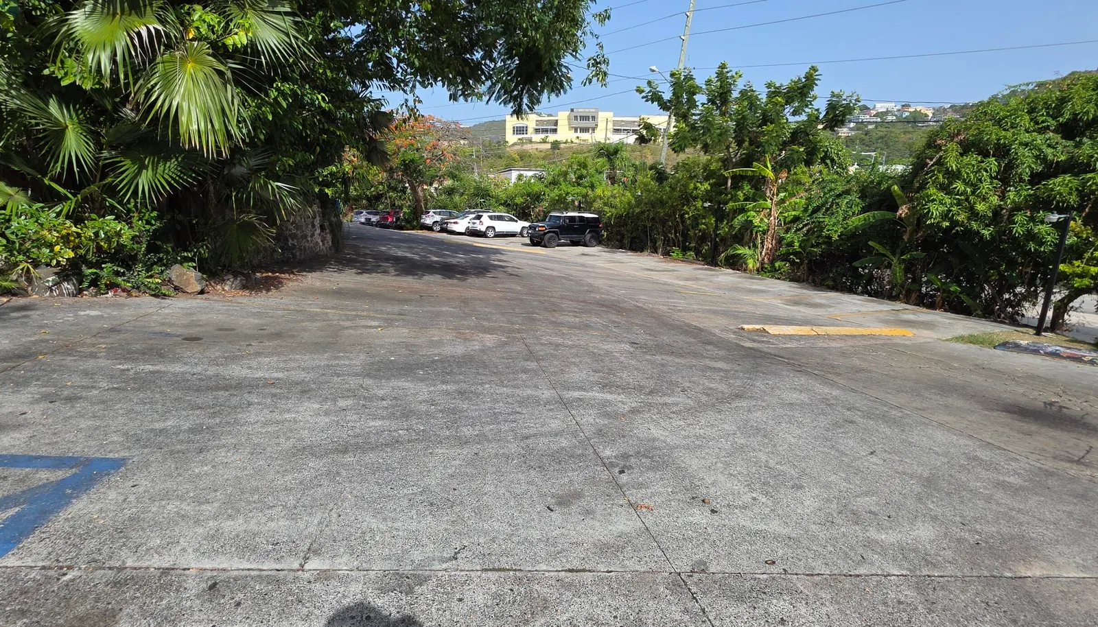 Image 12