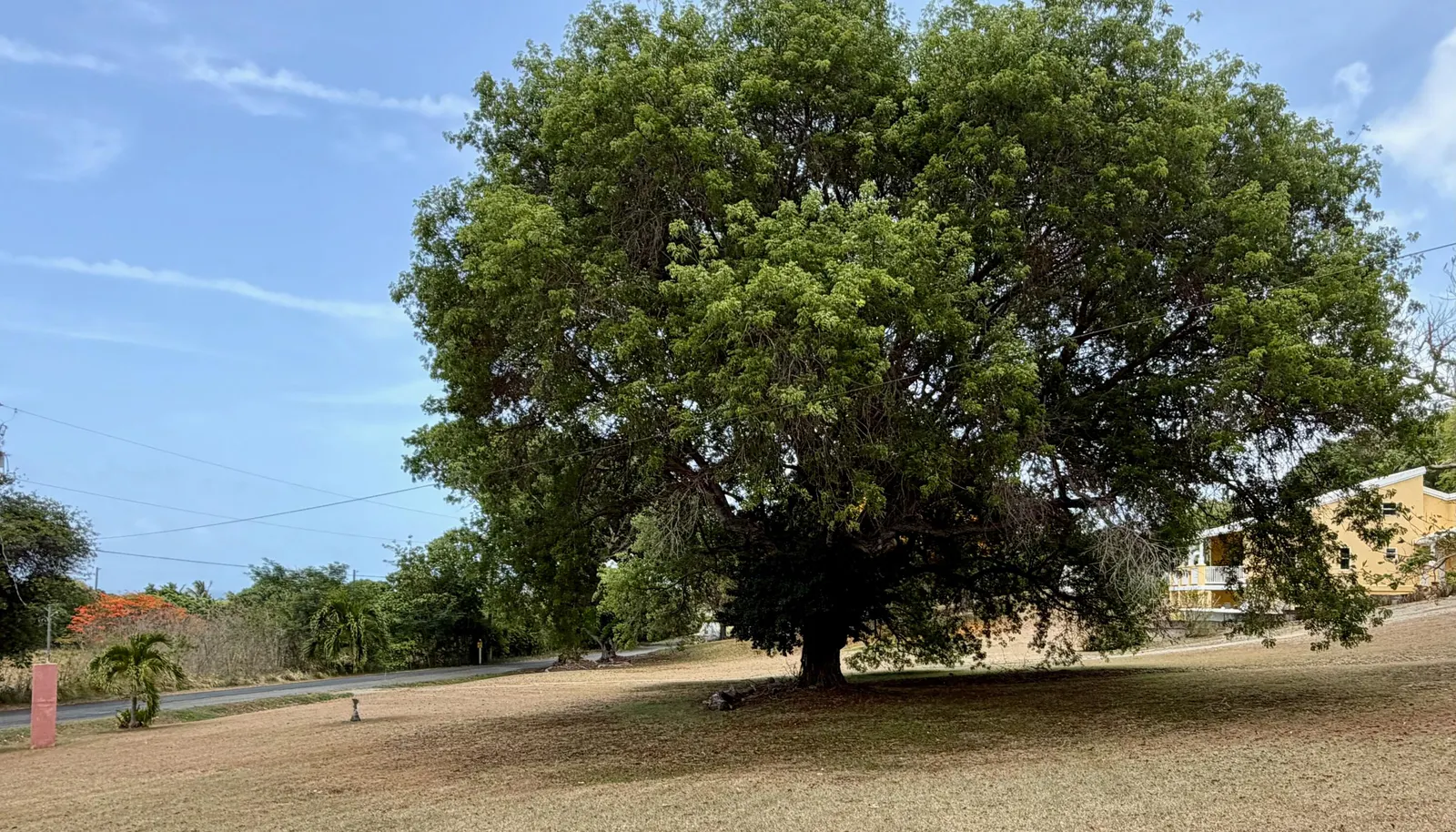 Image 13