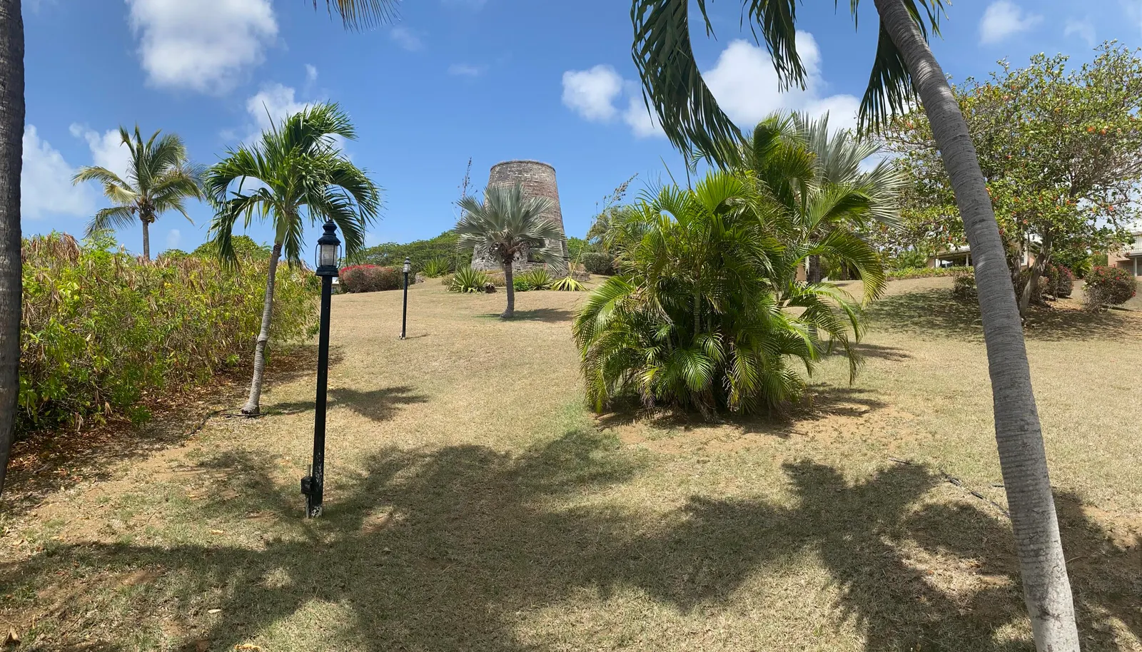 Image 6