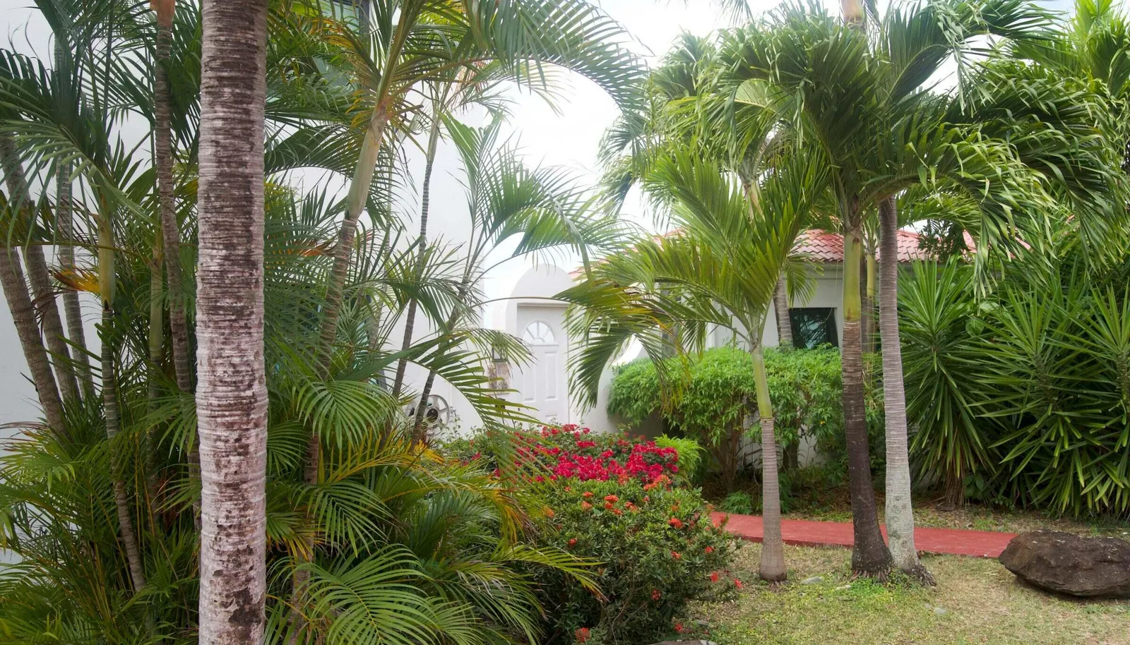 Image 23