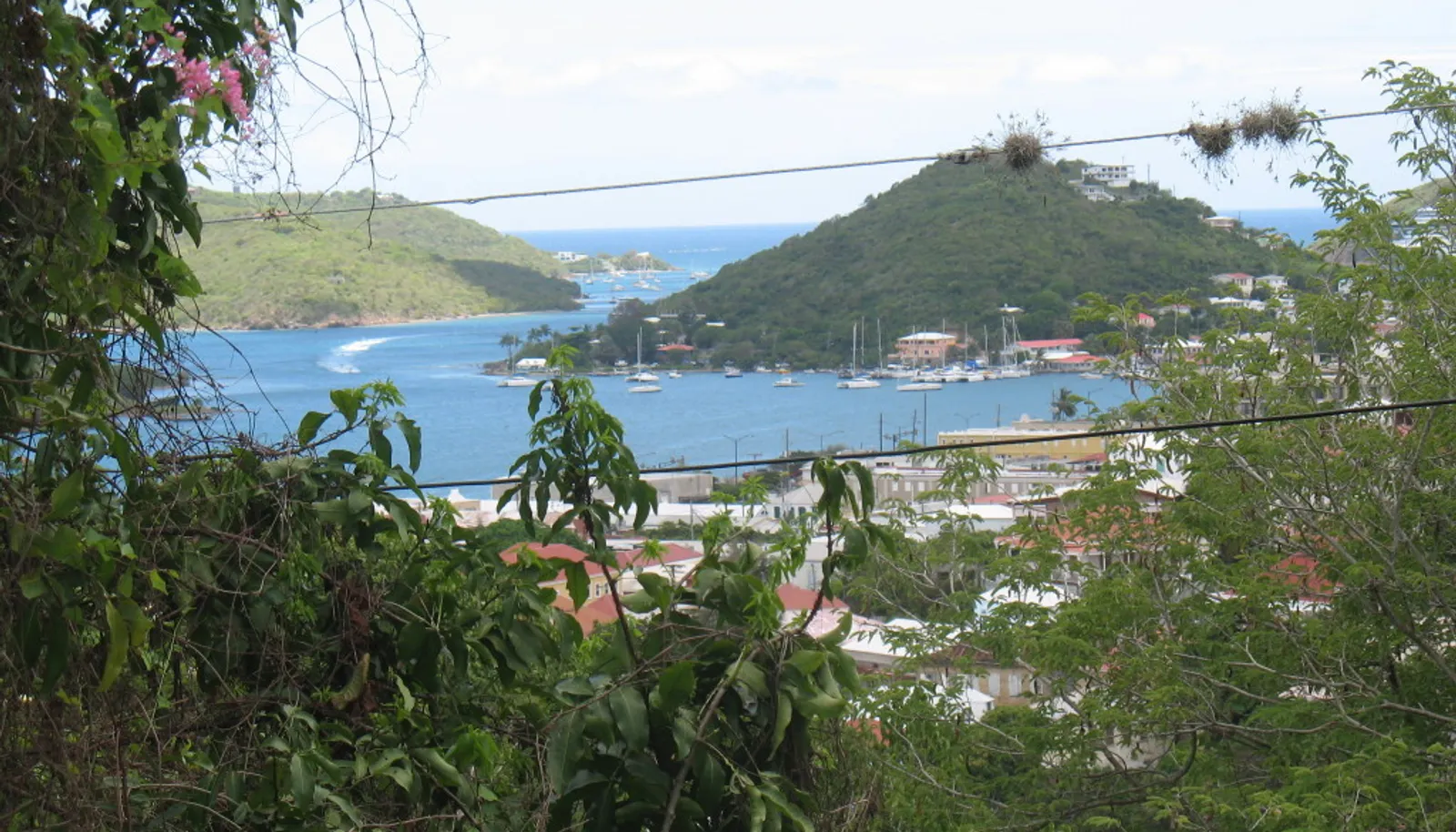 Image 5