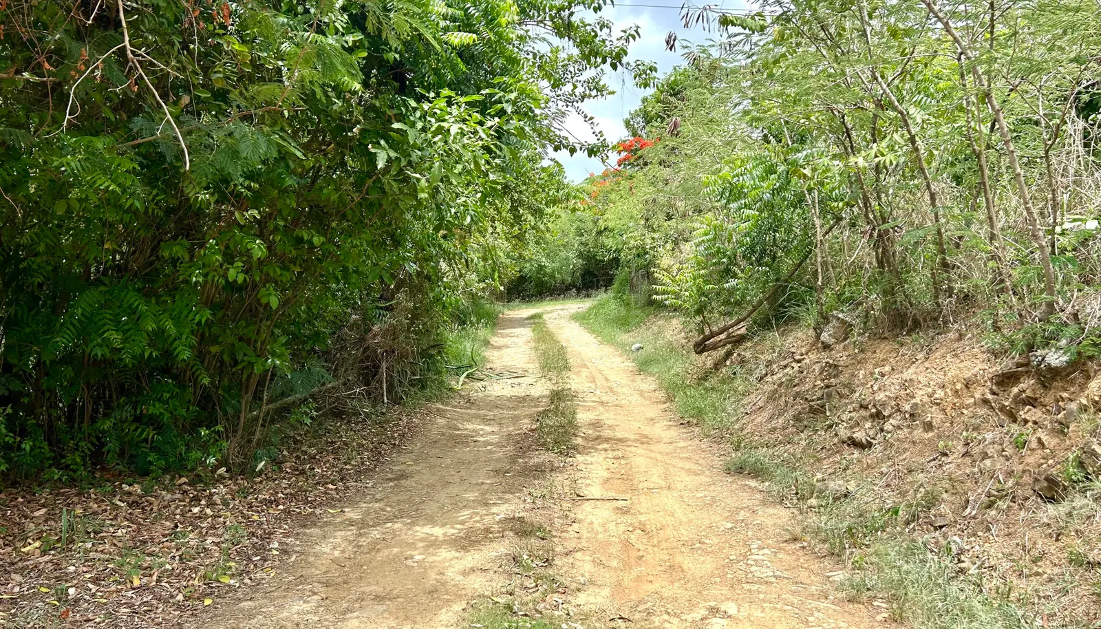 Image 11