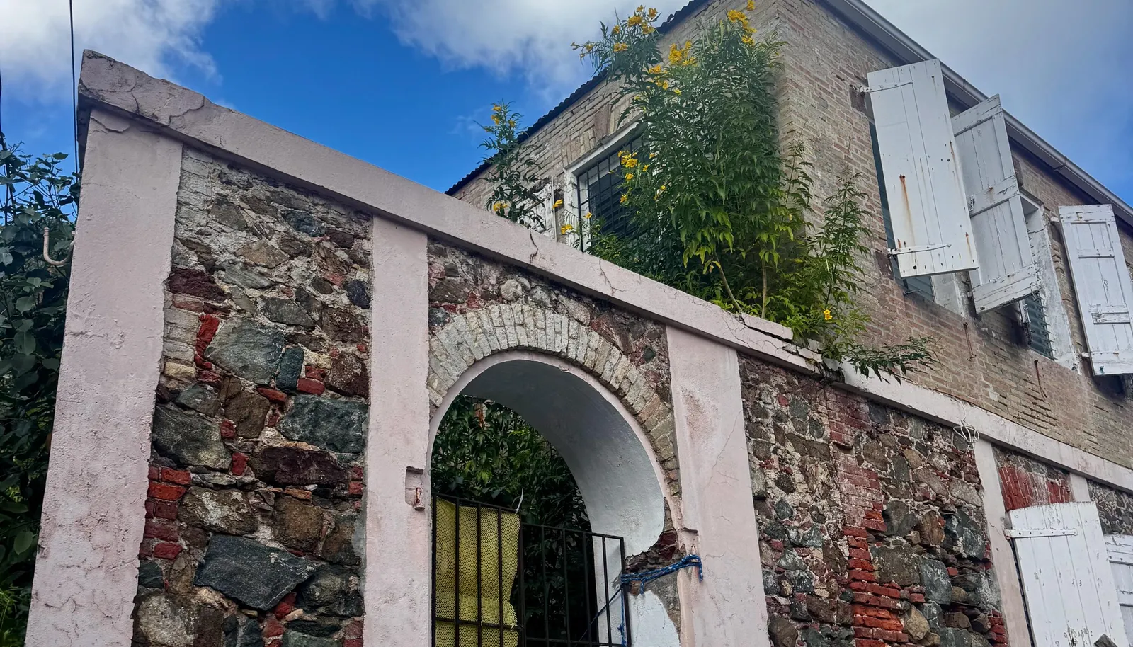 Image 15