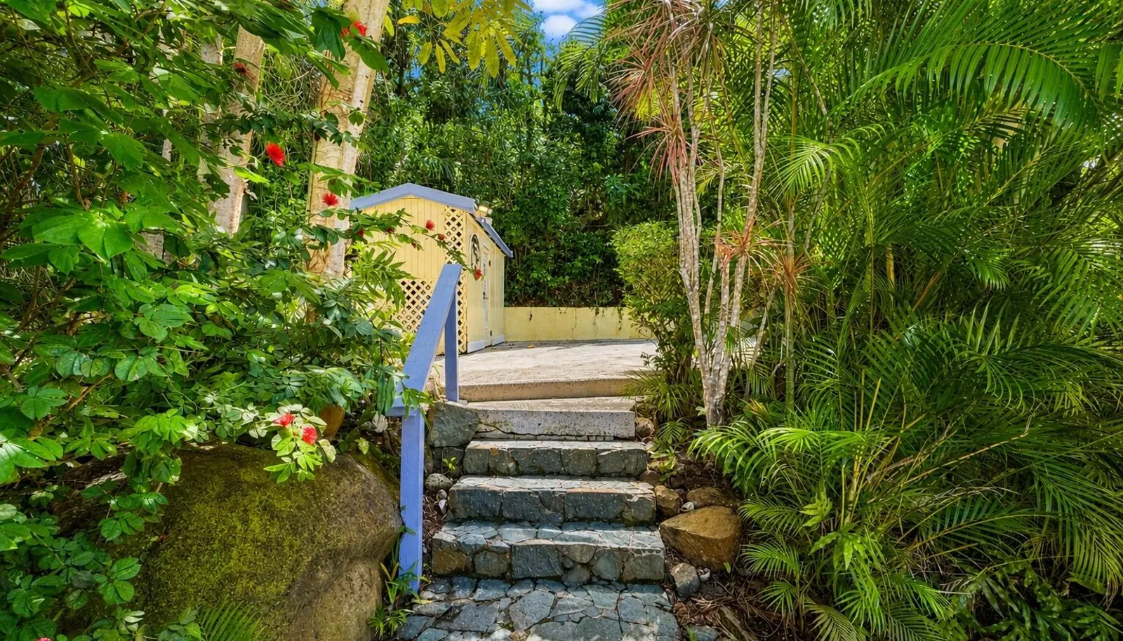 Image 12