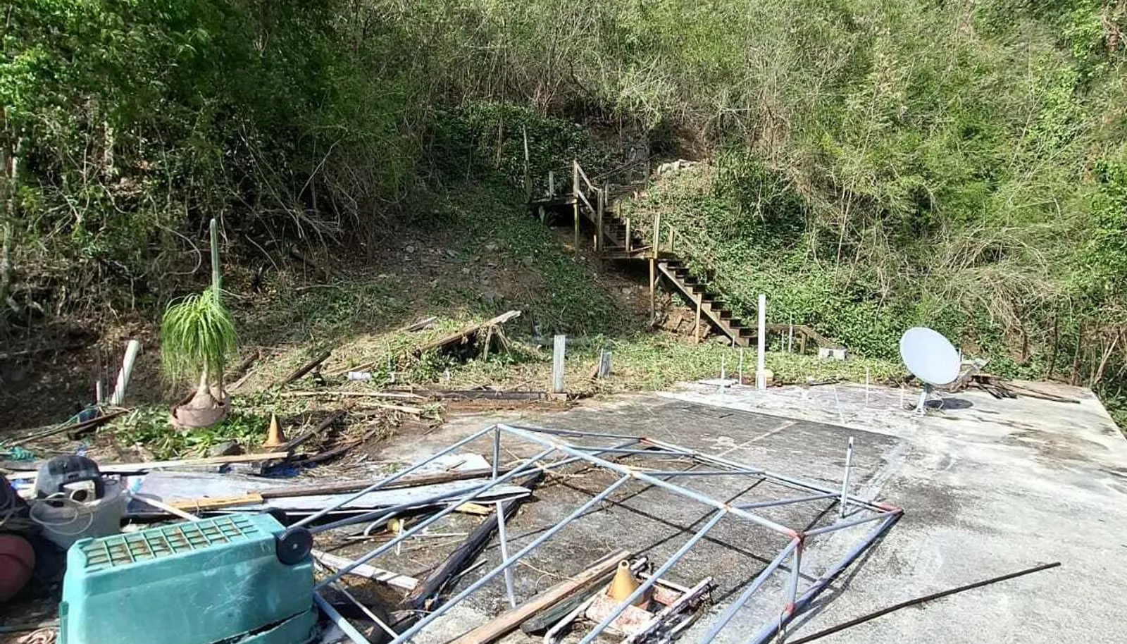 Image 12