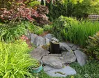 a closer look at this fantastic water feature