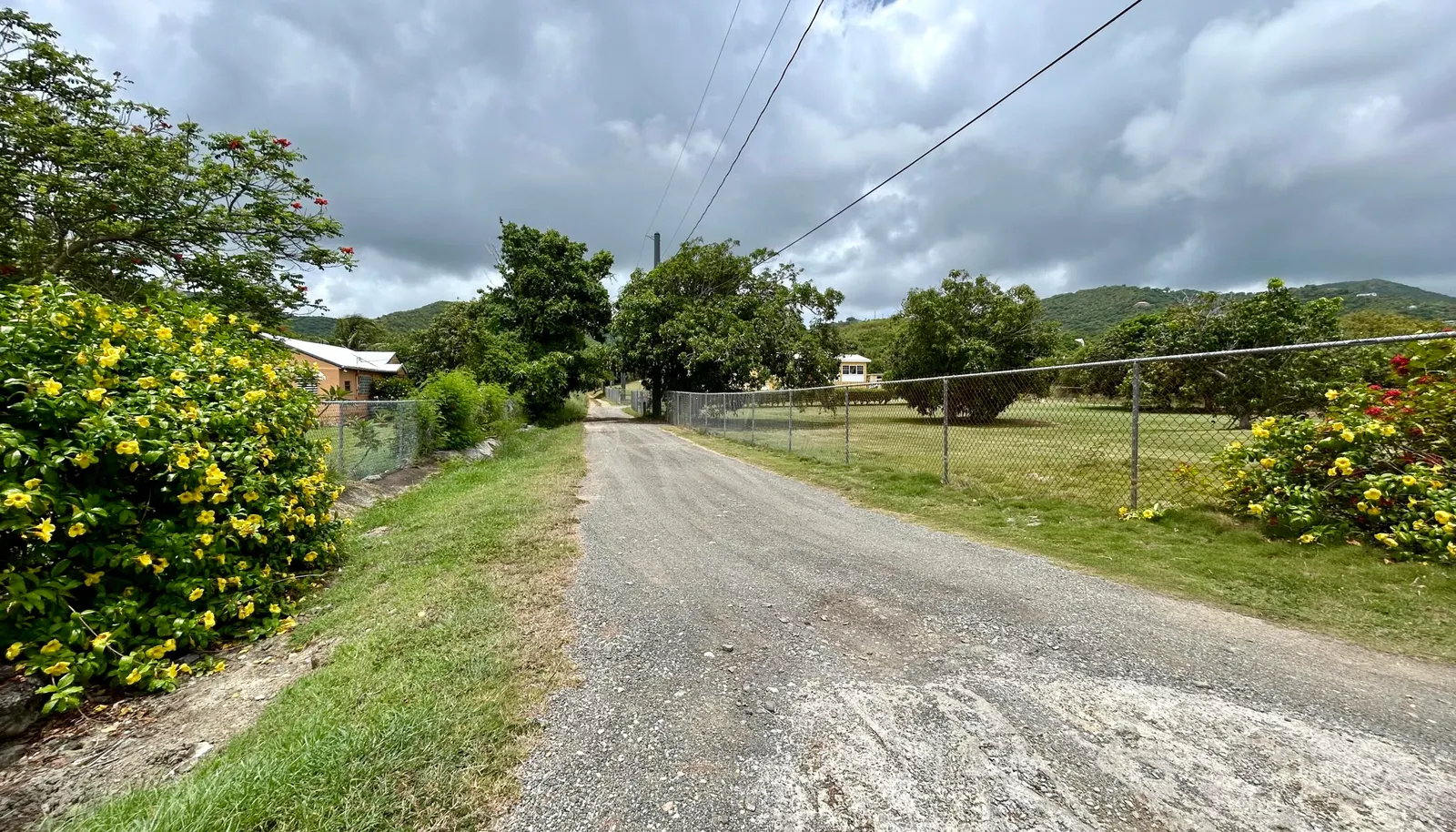 Image 10