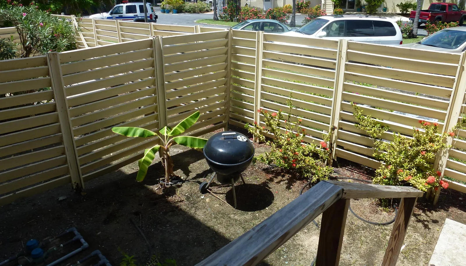 Image 15