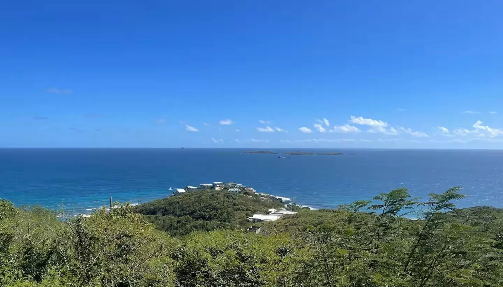 Image 33