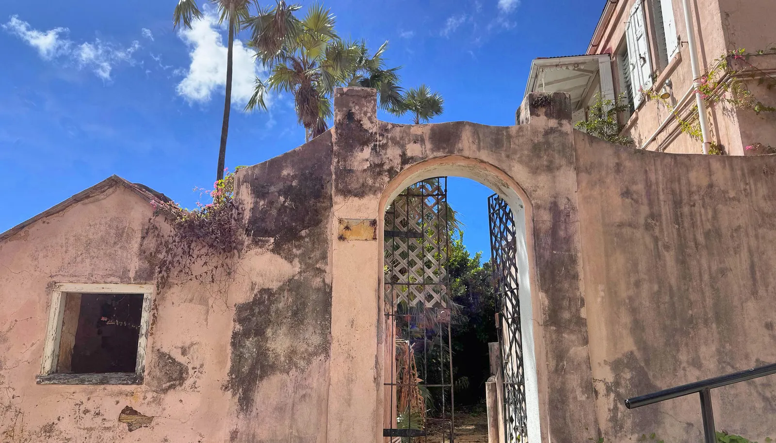 Image 6