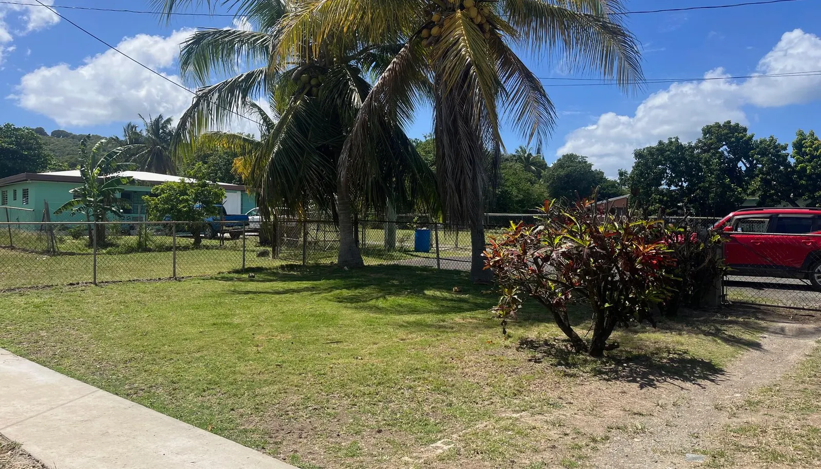 Image 12
