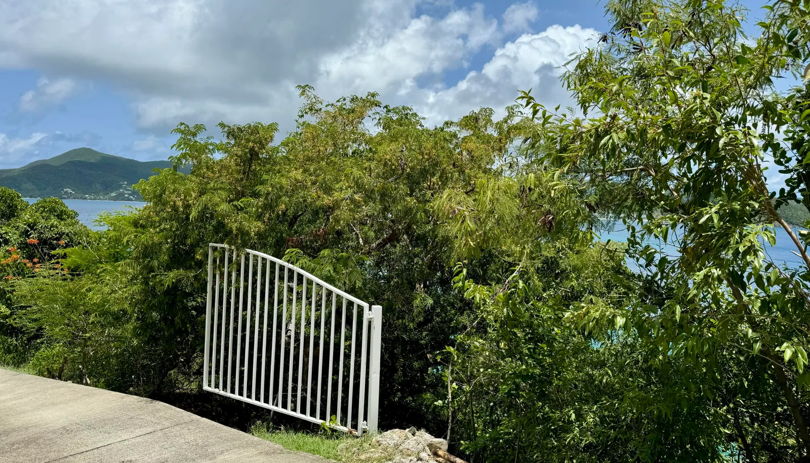 Image 19