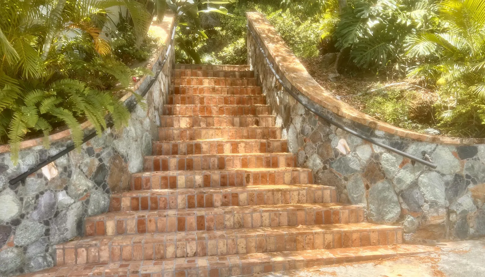 Image 21