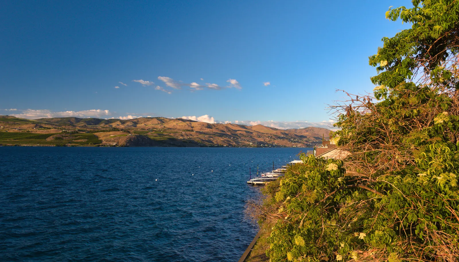 View to the right of lot.