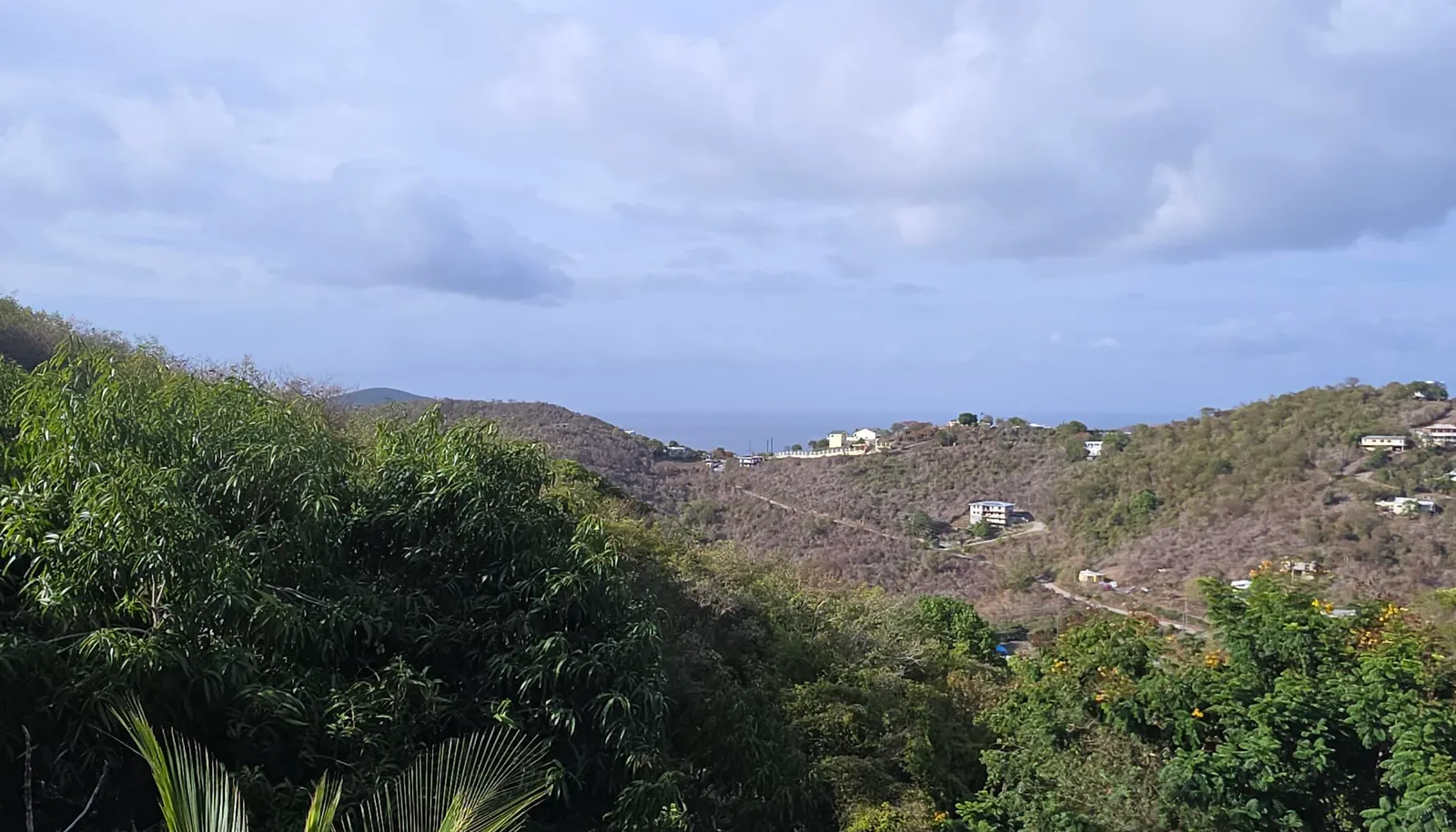 Image 6