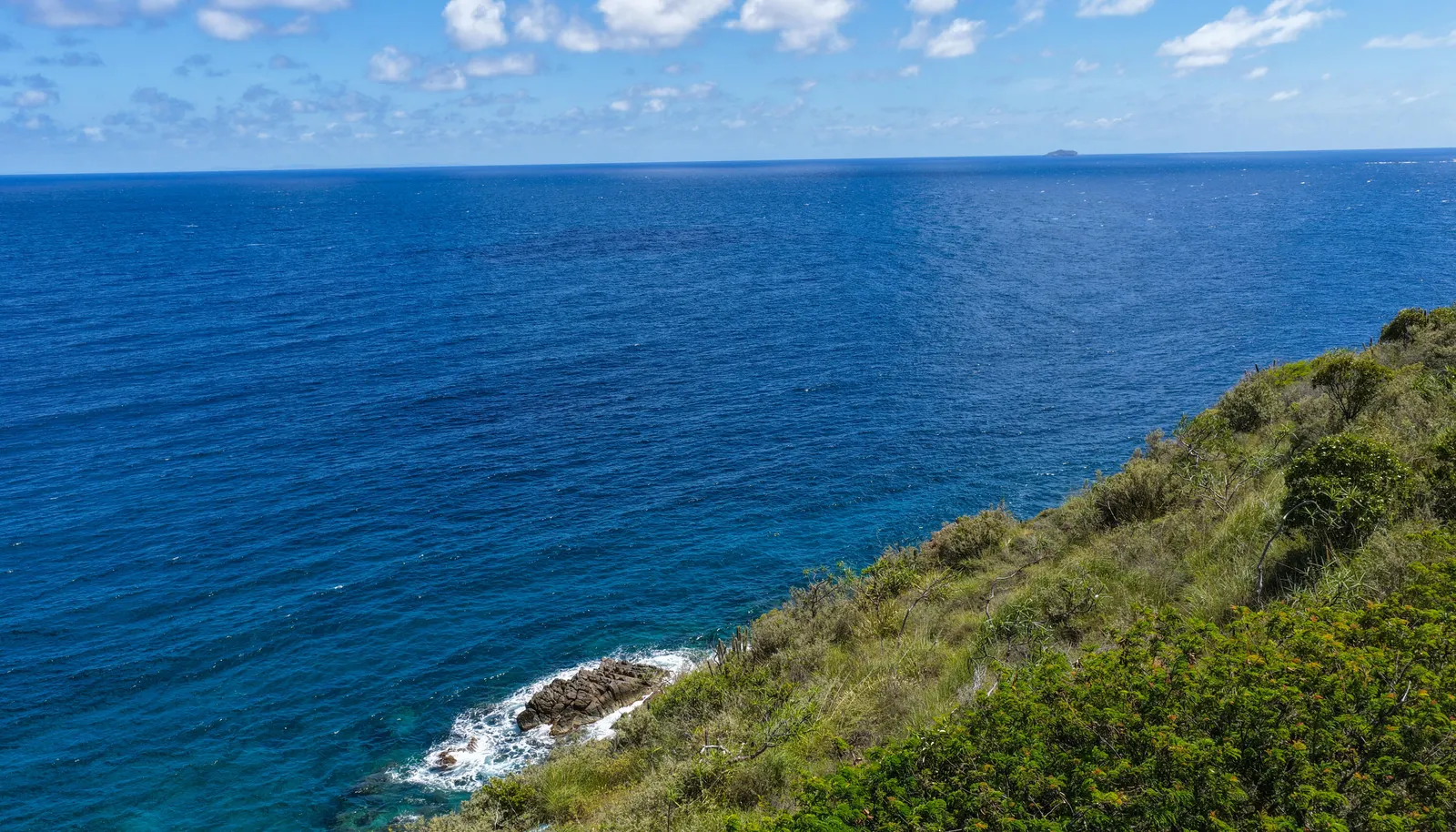 Image 15