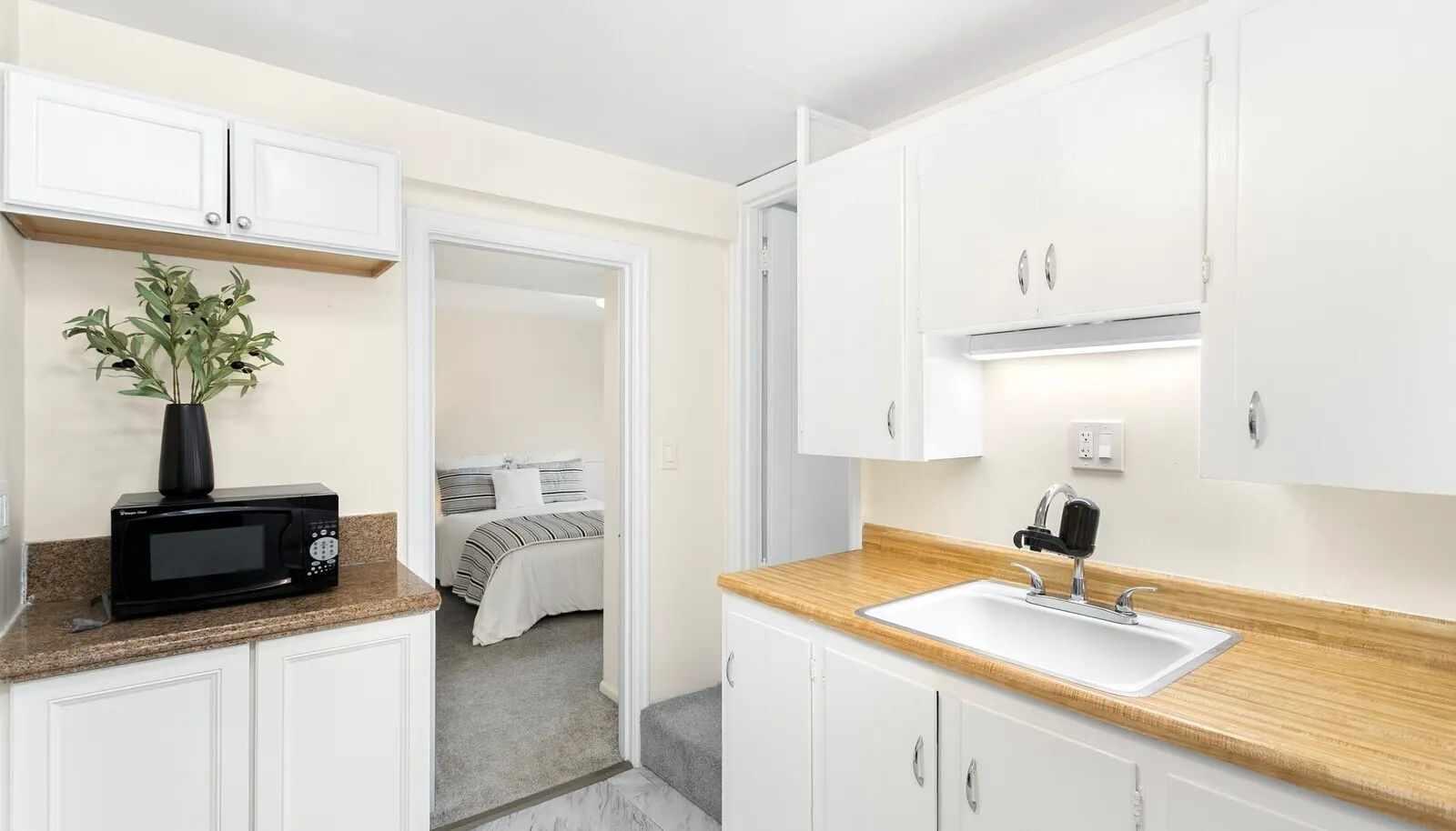 lower unit kitchen