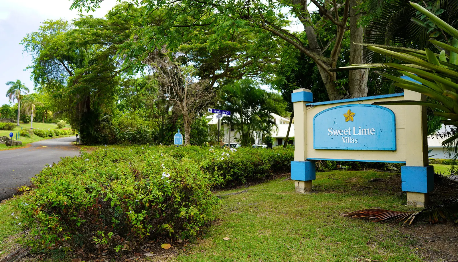 Image 10