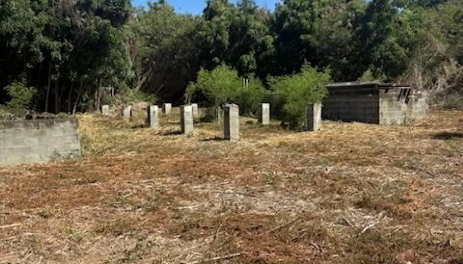 Image 14