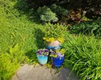 enjoy the space to have your favorite flower pots