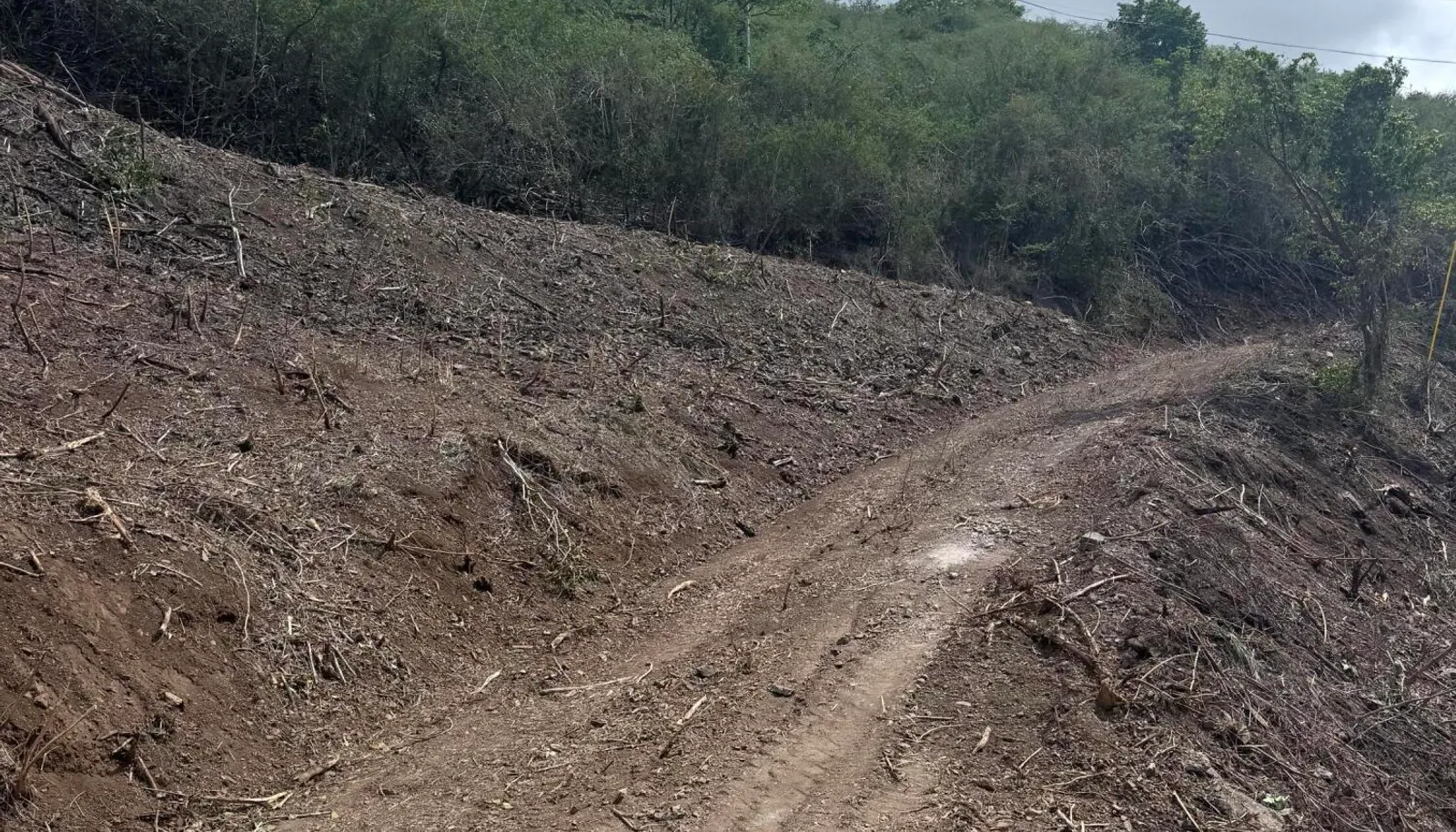 Image 13