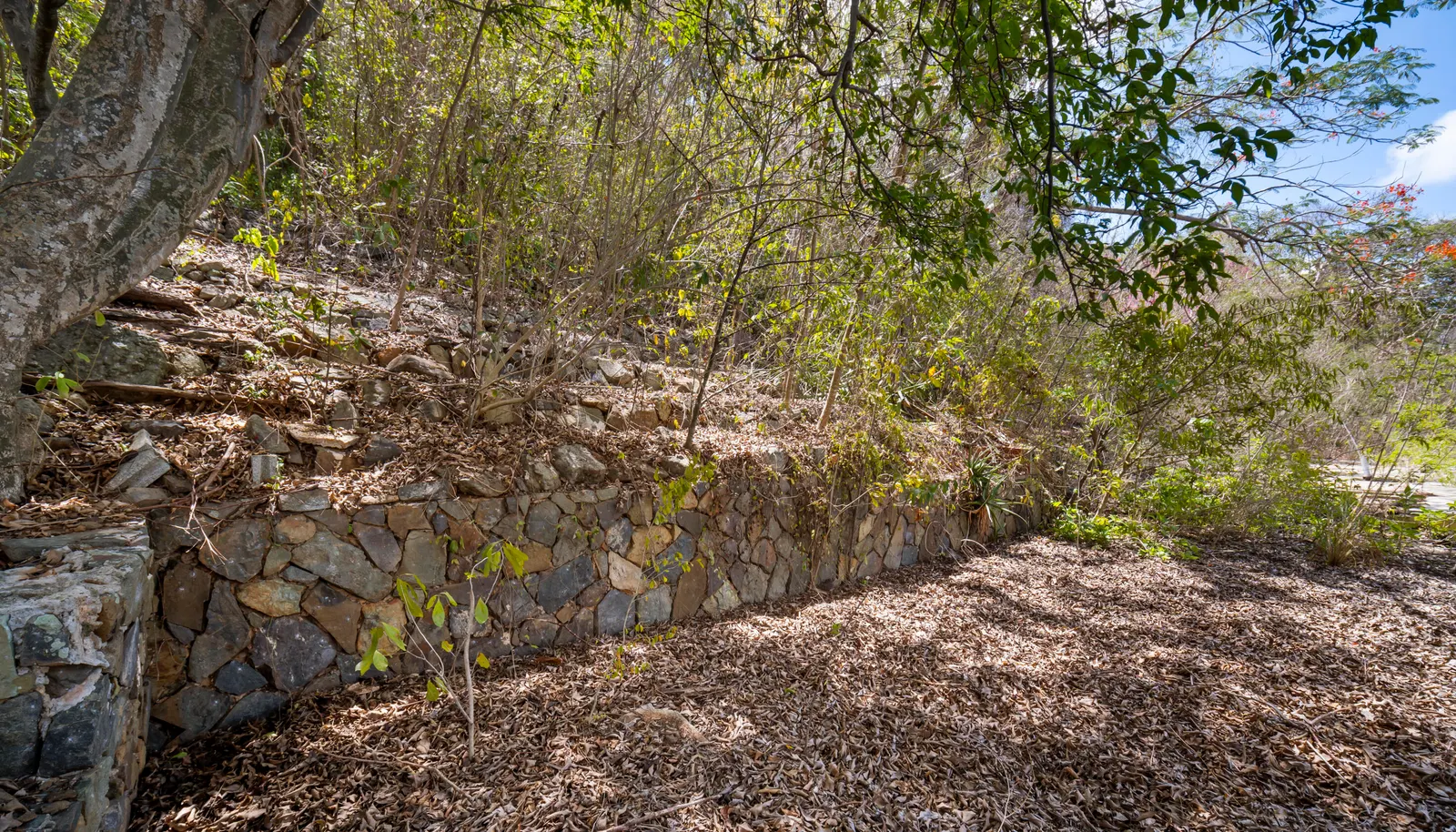 Image 25