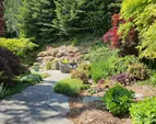 enjoy the peaceful view from the patio