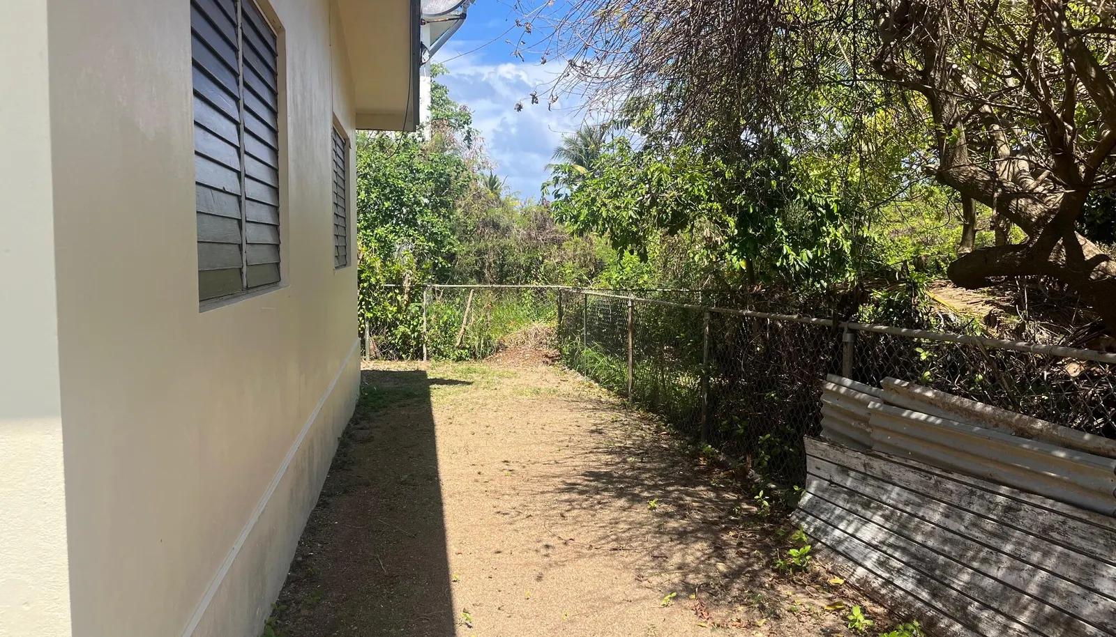 Image 15