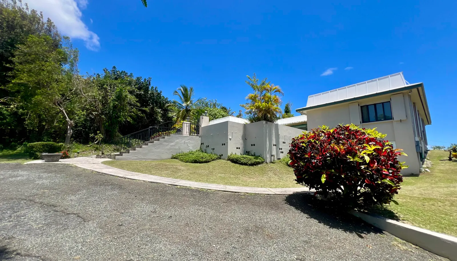 Image 19