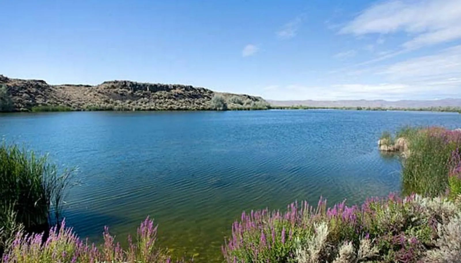 View from east end of Hilltop Lake, a 30 acre water body --- home to ducks, geese & bass galore! 5000 front feet of low bank/lake frontage.