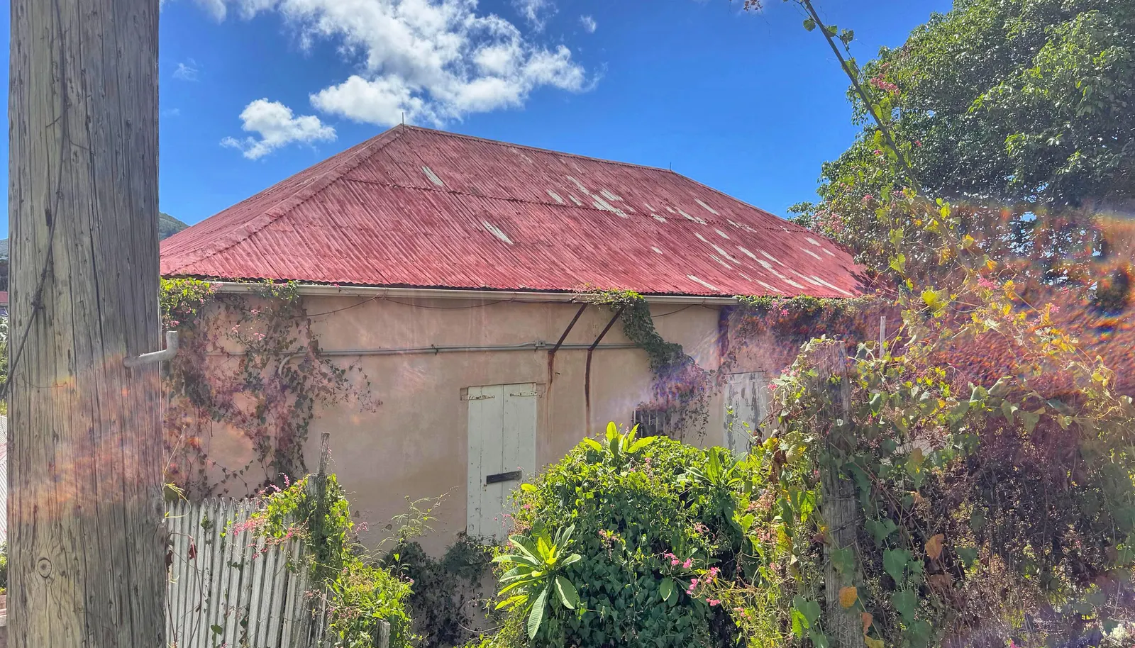 Image 12