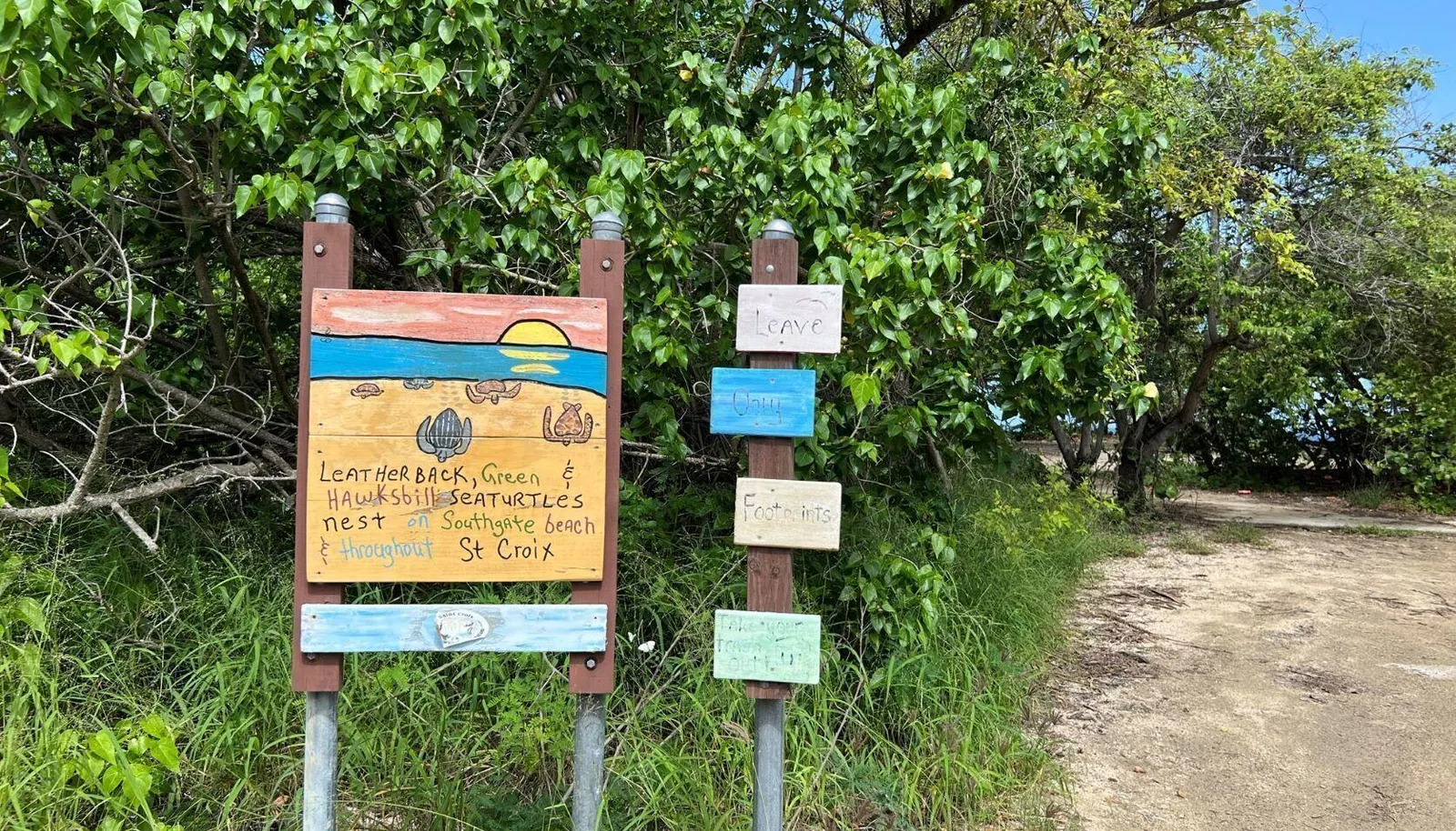 Image 19