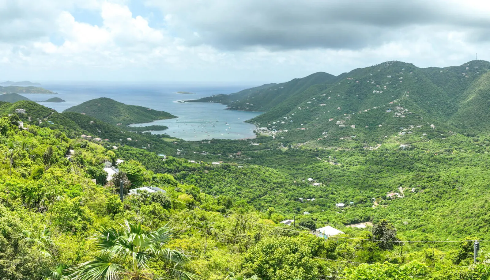 Image 10