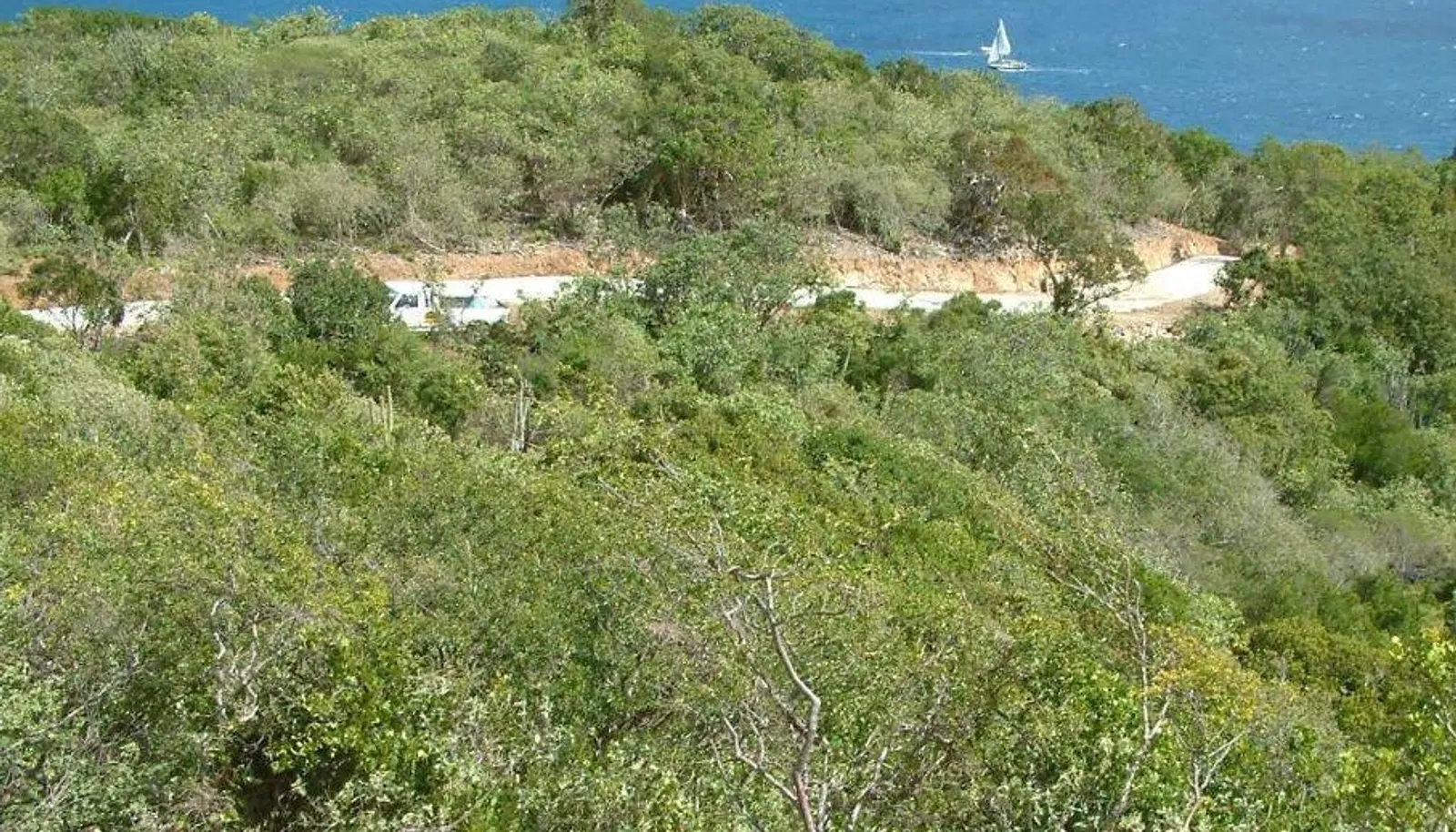 Image 6