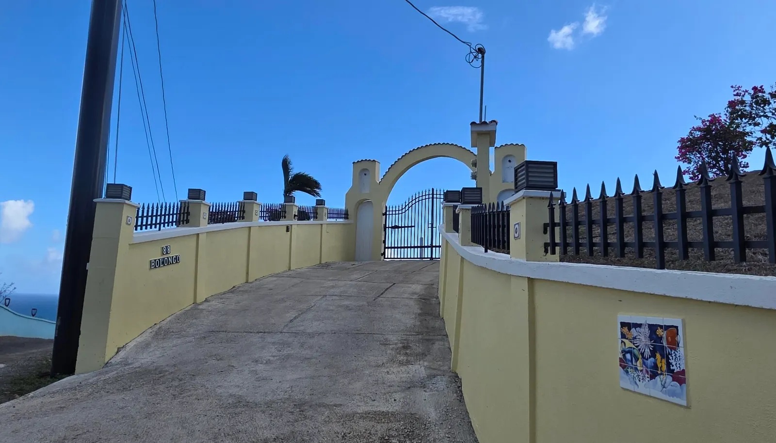 Image 4