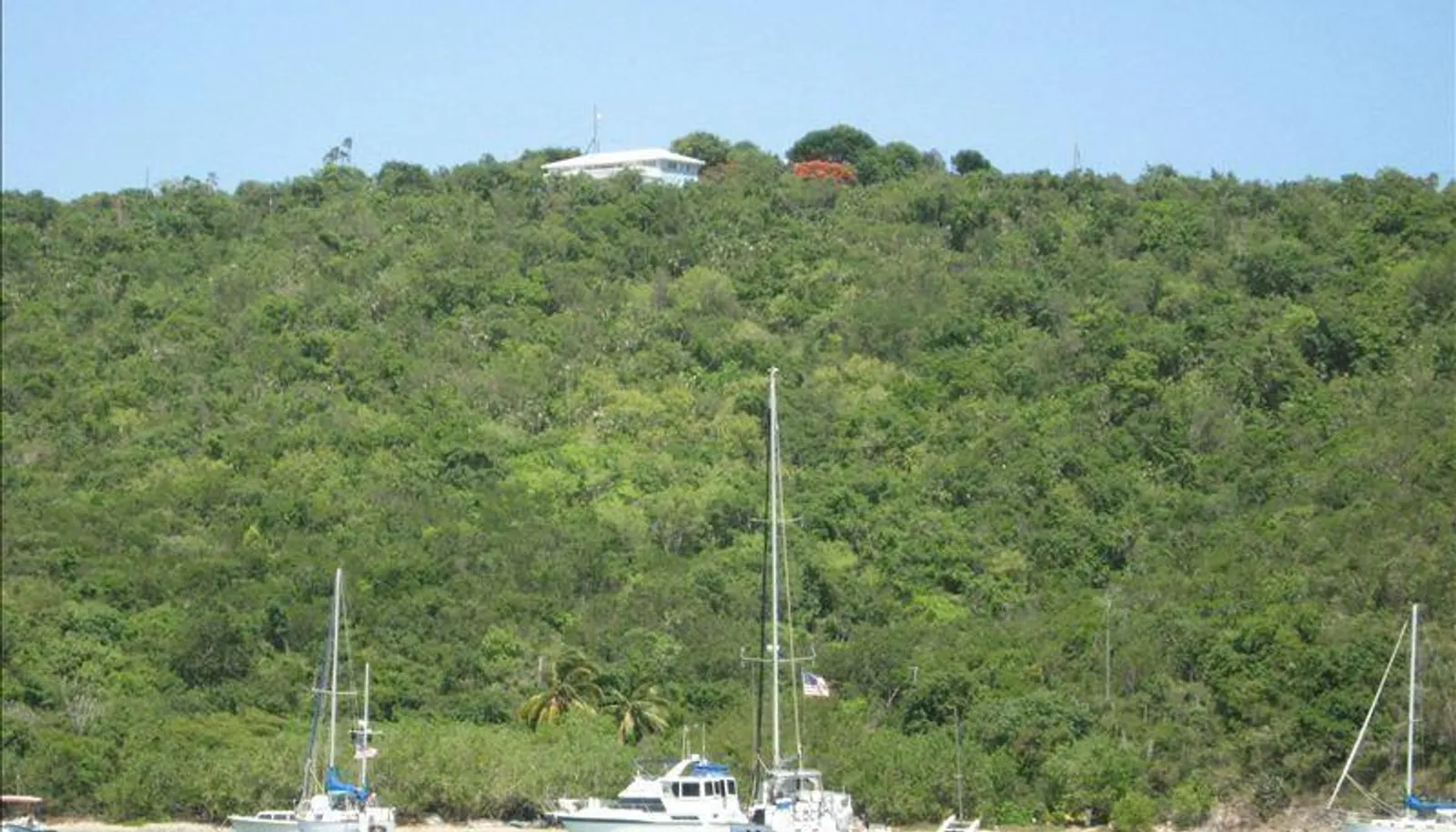 Image 4