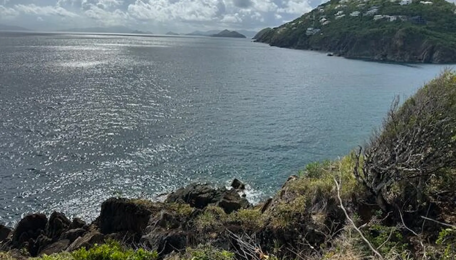 Image 15