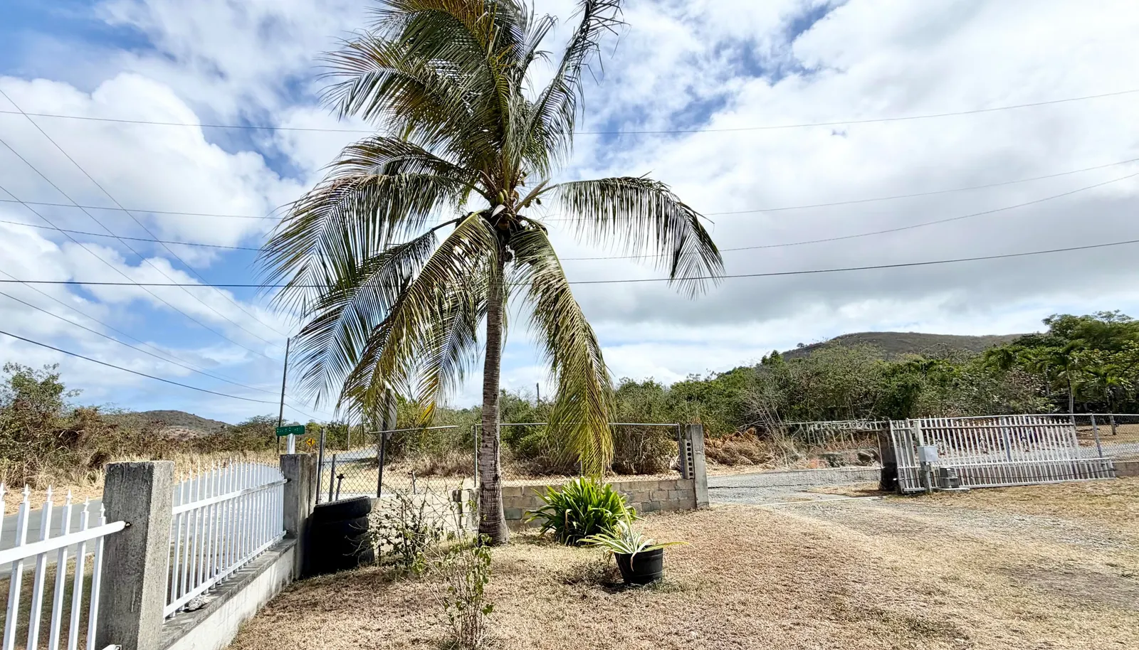 Image 19