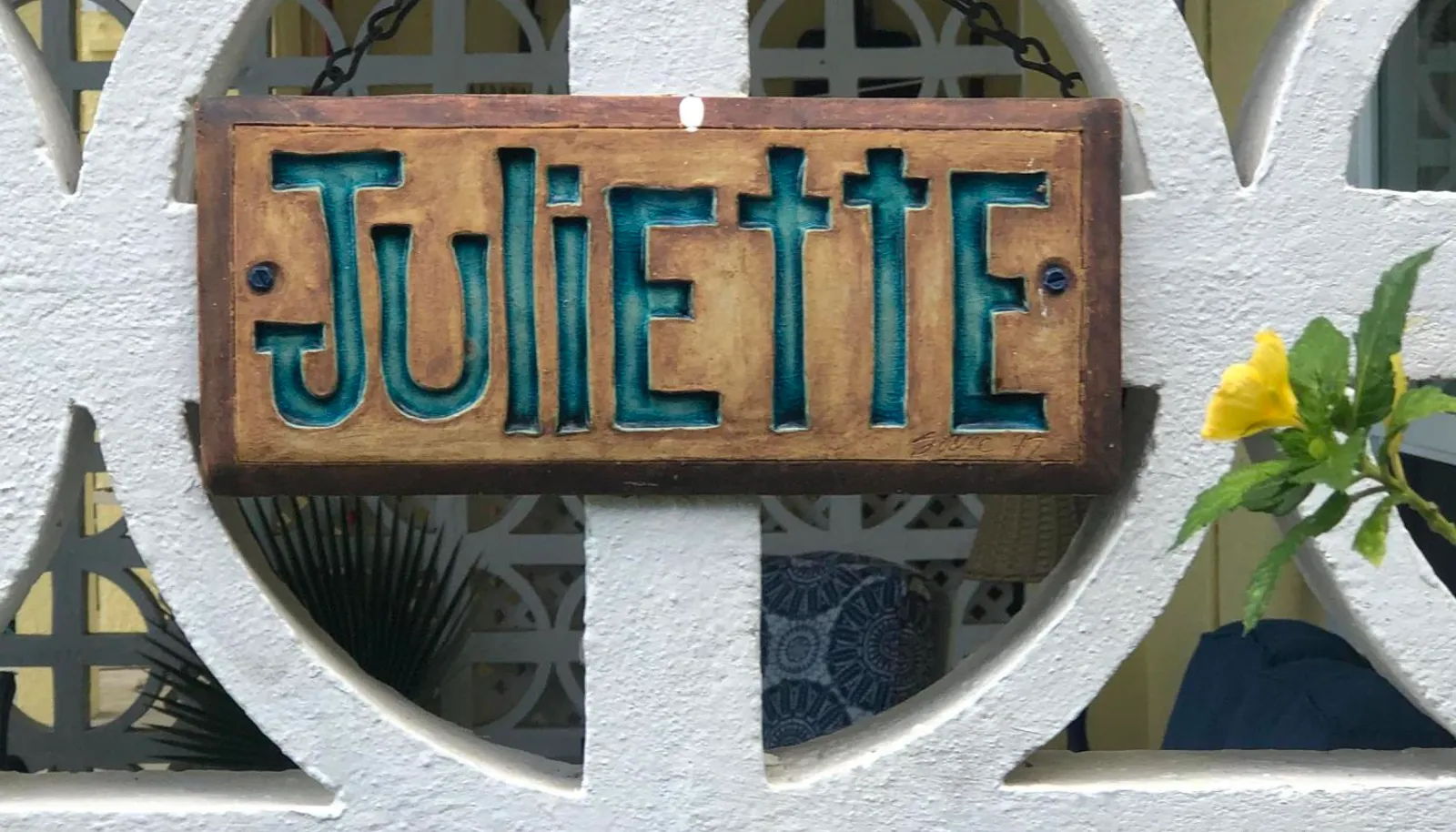 Image 4