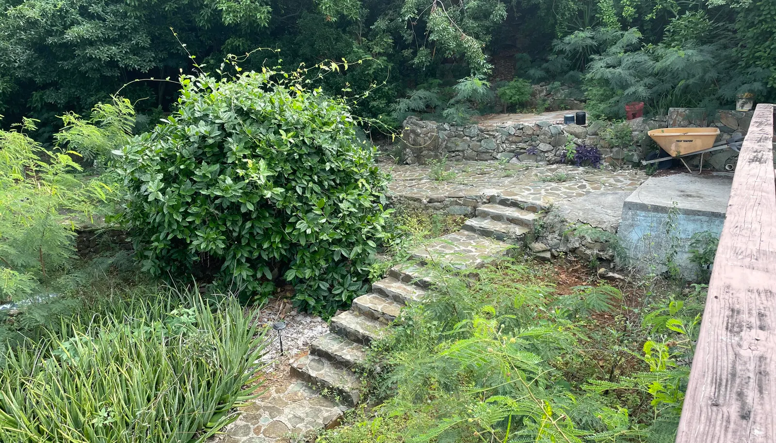 Image 7