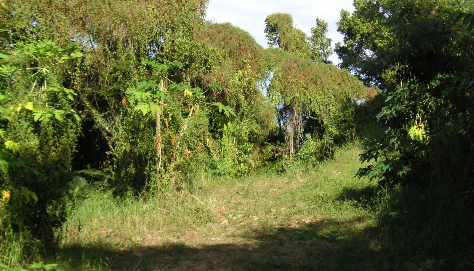 Image 8