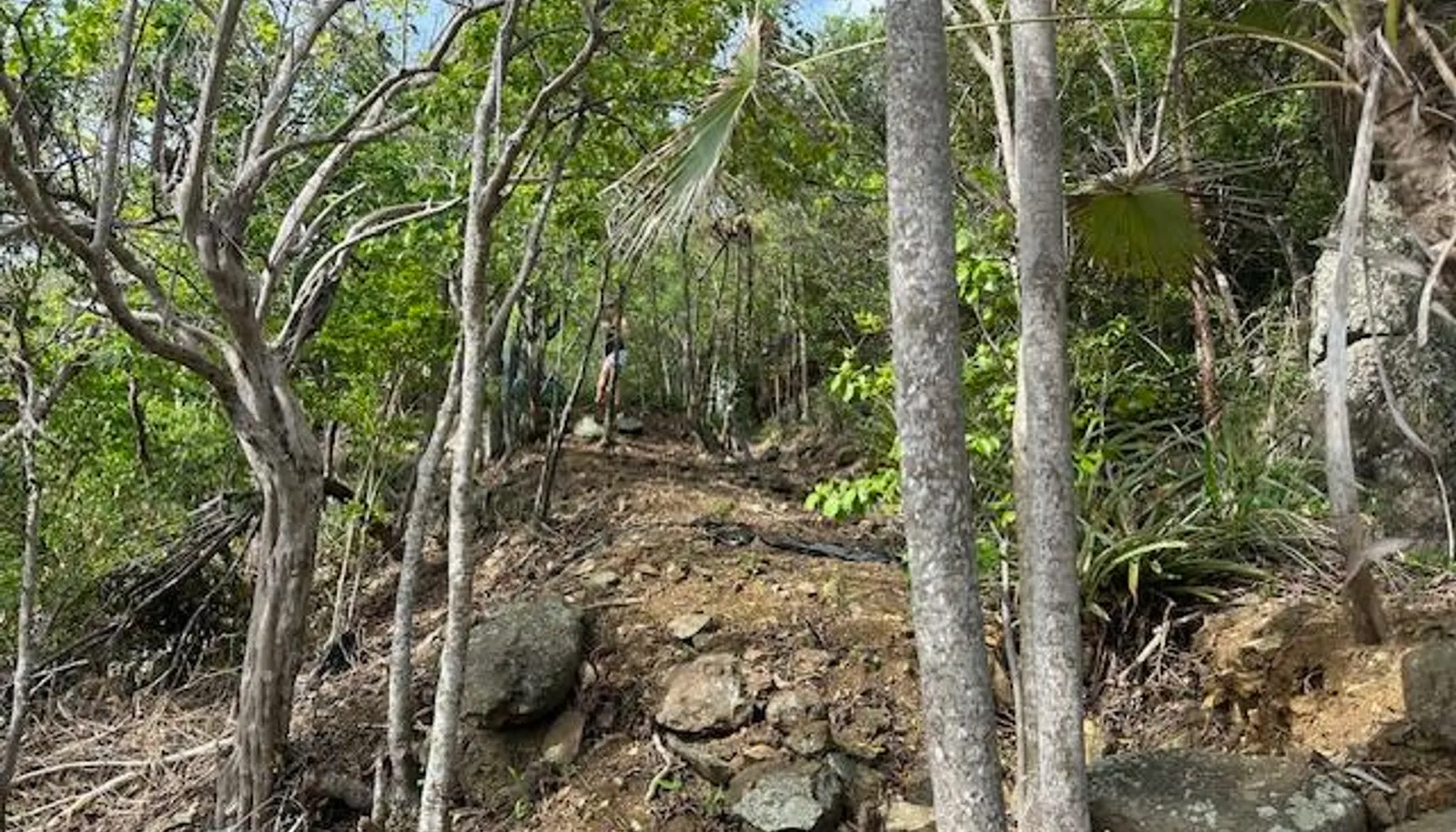 Image 12