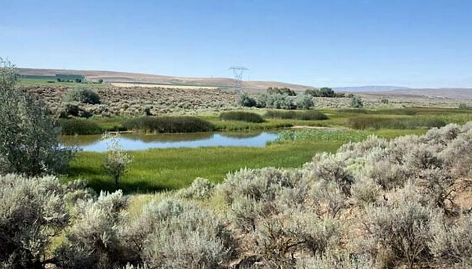 Total of 60 acres of lakes & ponds! Fabulous fishing. Great duck hunting. Golf course architecture, design & drawings completed. Total of 60 acres of lakes & ponds! Fabulous fishing. Great duck hunting. Golf course architecture, design & drawings completed.