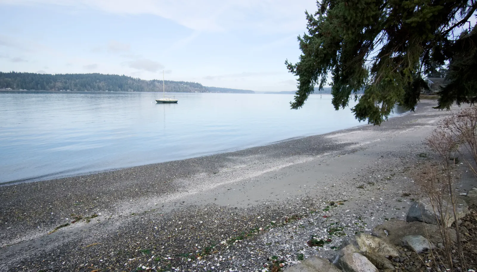 Your beach looking north, toward Illahee and Bainbridge Island.