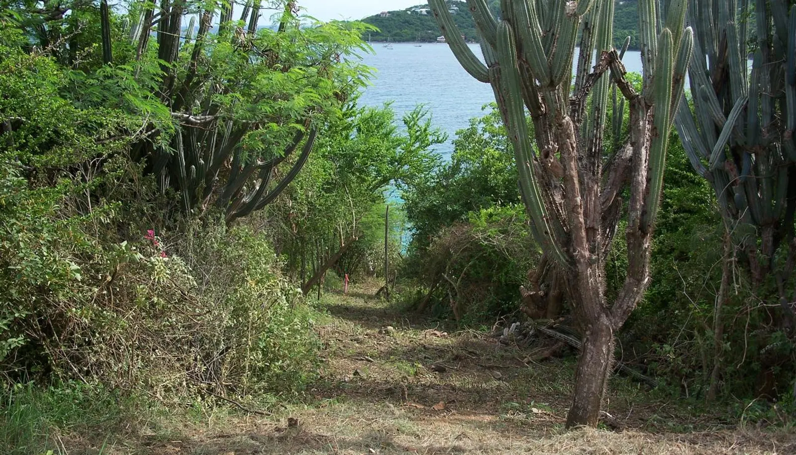 Image 7