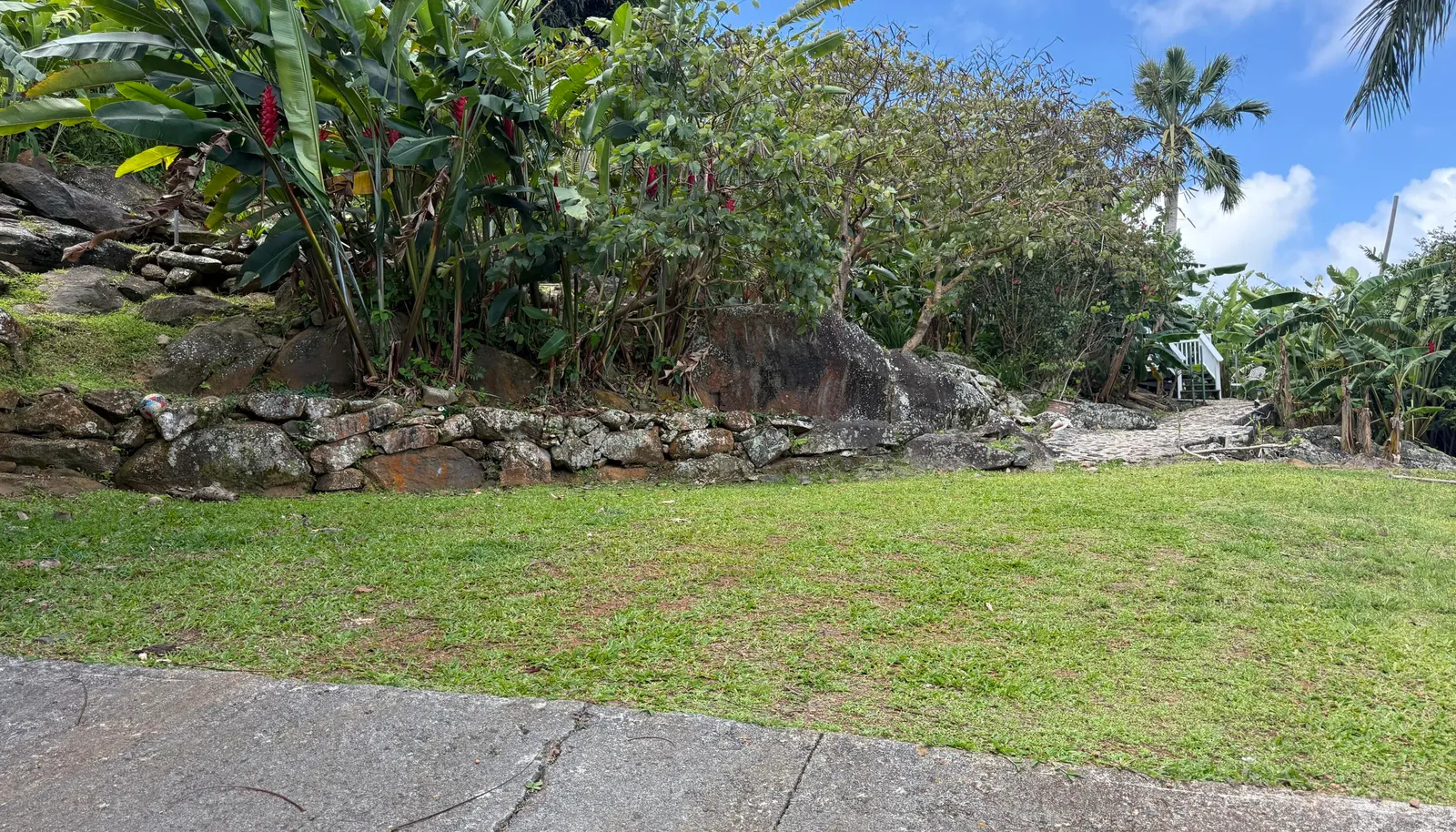 Image 21