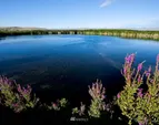 One of Three Lakes. 60 acres of water!! Irrigation is possible out of Hilltop lake via a M & I contract with the Bureau of Reclamation. Municipal water rights are available for purchase and transfer.